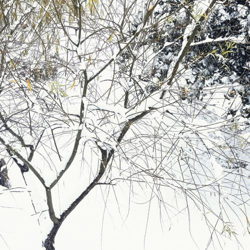 女人梦见下了很大的雪