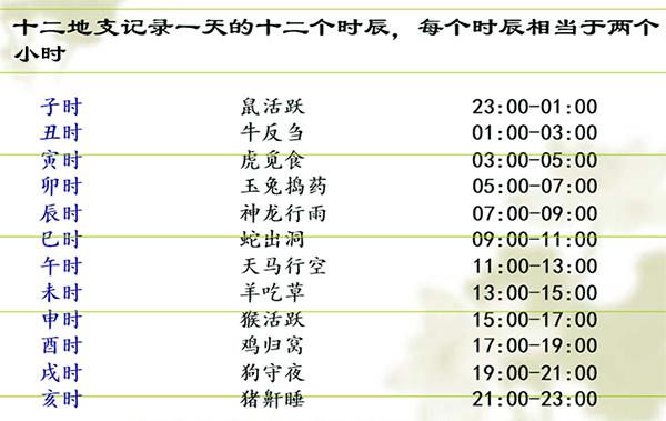 十二生肖如何更好的利用时间