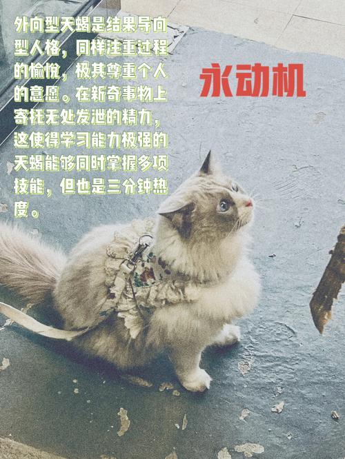 和天蝎座的女生谈恋爱是种什么感觉