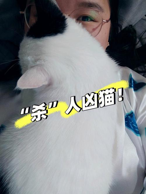梦见猫攻击自己吓醒