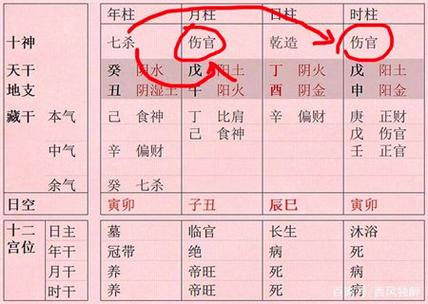 伤官合杀驾杀为权