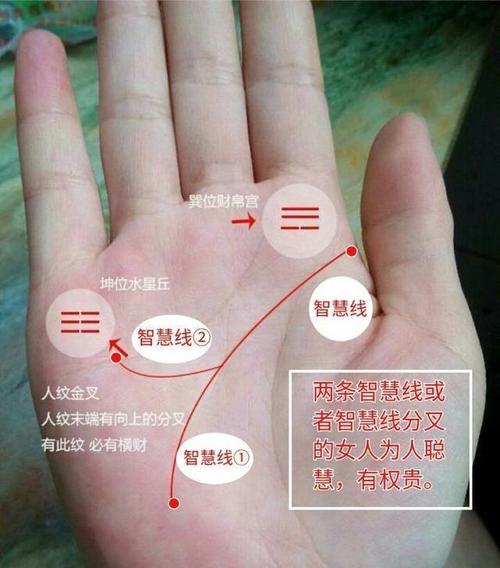 怎么样的手相有贵人和财运有关