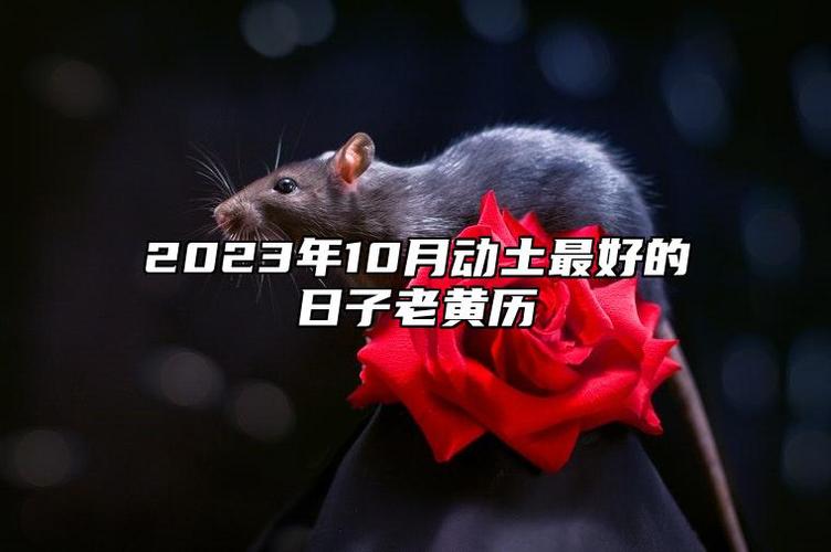2023年10月动土吉日