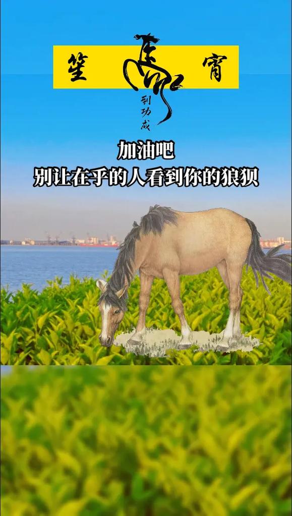 78年的马什么时候退休(图文)