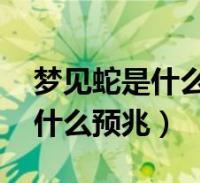 产妇梦见蛇是什么征兆