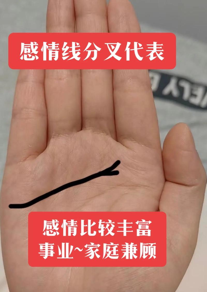 手上的感情线代表什么,感情线长和短有什么区别