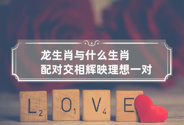 属龙理想的婚后生活是什么样的