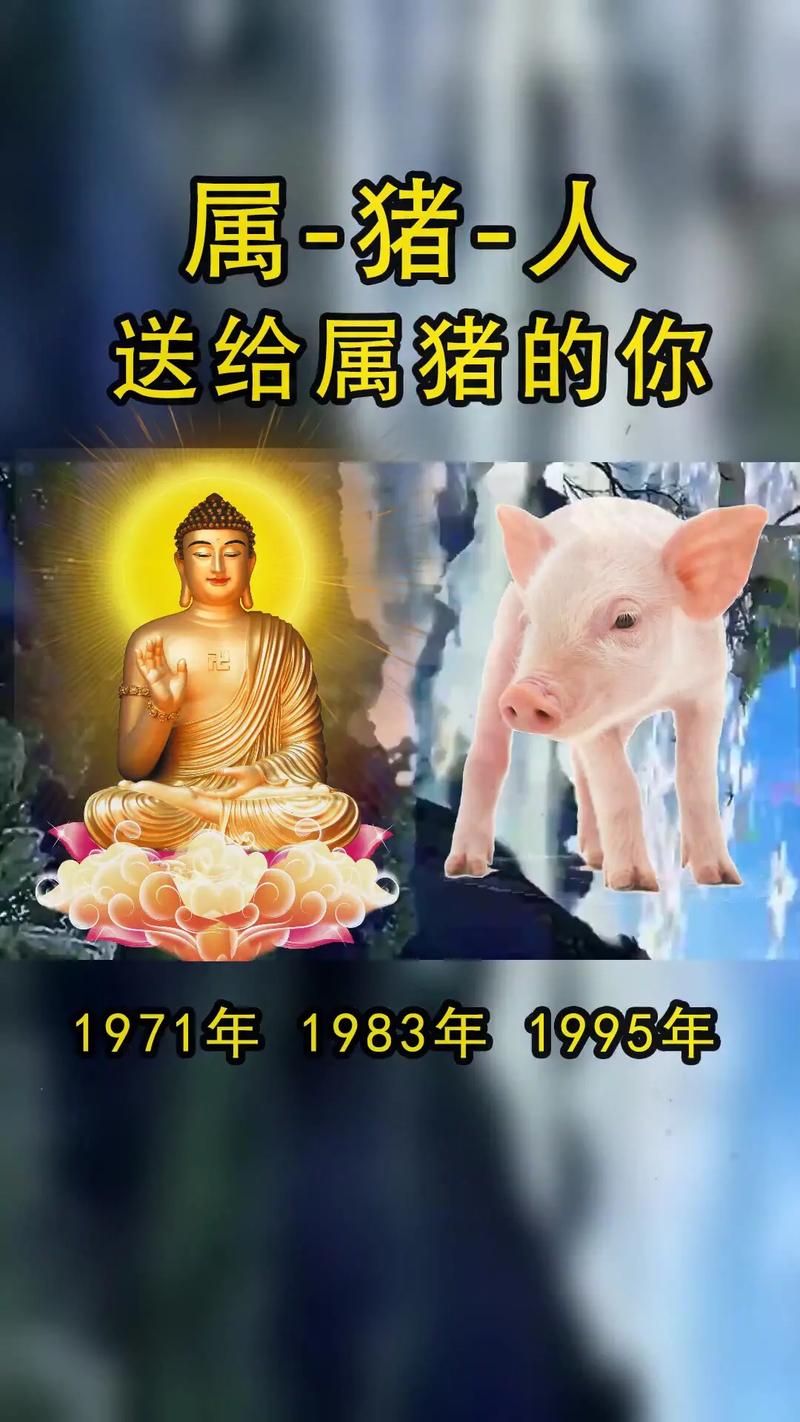 属猪人最幸福的时刻在什么时候?