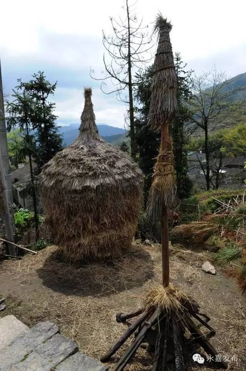 梦见堆稻草