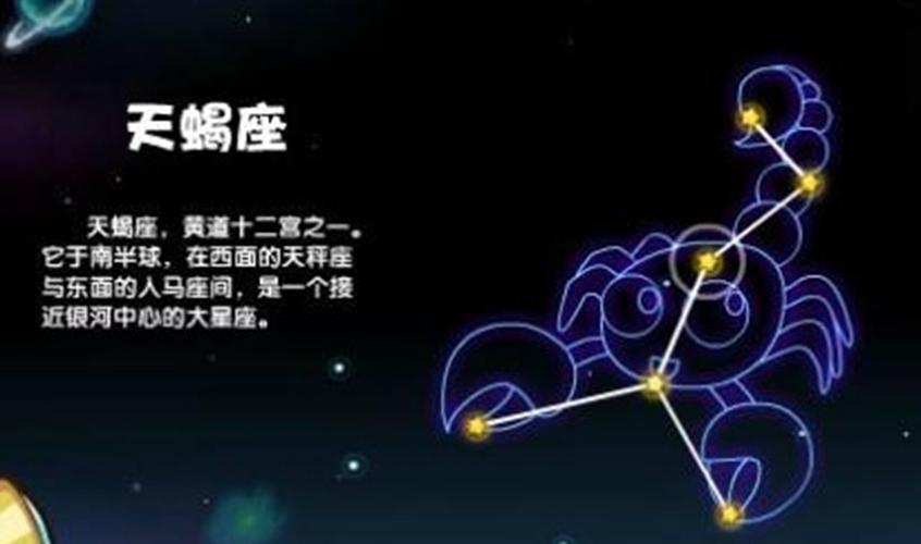 哪些星座女易被包养