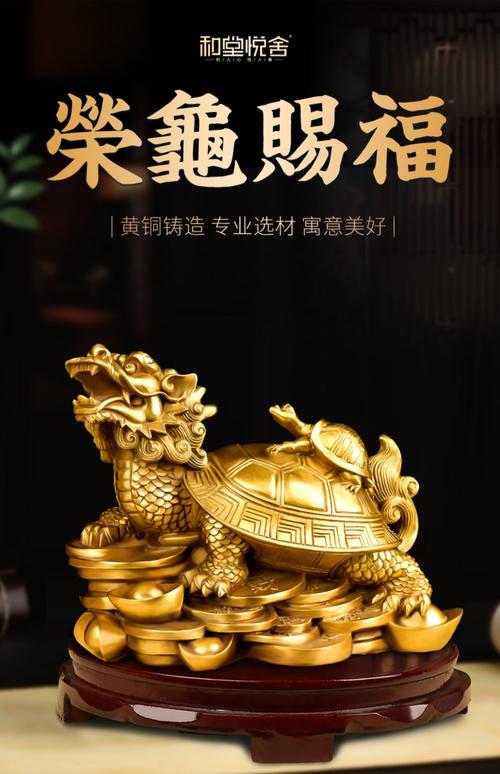 金钱龟养单数好还是双数好