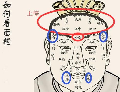 地库位置面相 面相地库在什么位置