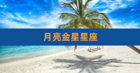 星座太阳月亮金星