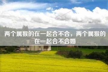 两个92属猴的在一起合不合