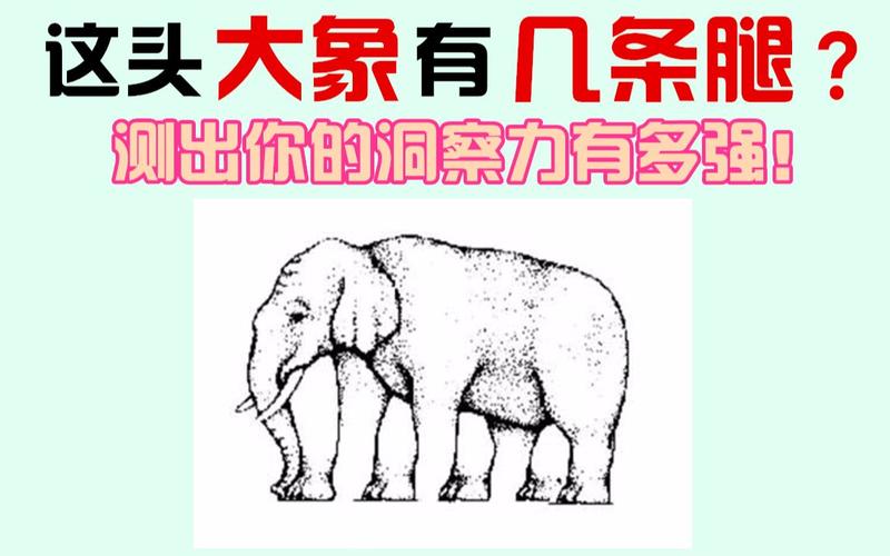 测你的洞察力如何